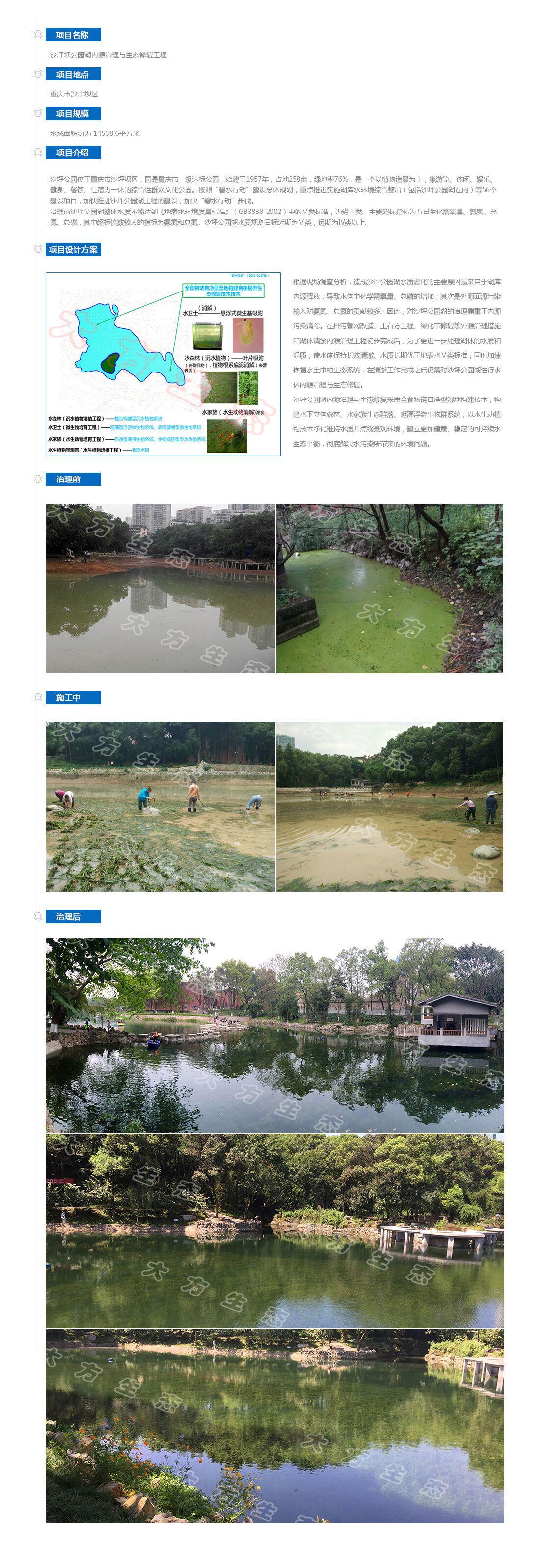 沙坪壩公園湖內源治理與生態(tài)修復工程.jpg