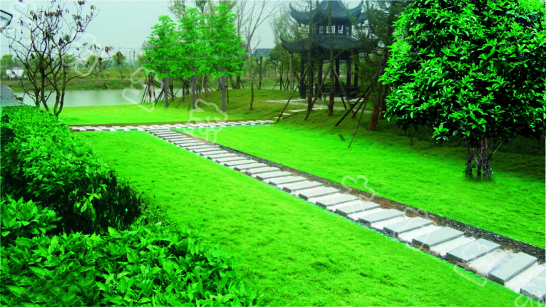 鹽城7.jpg