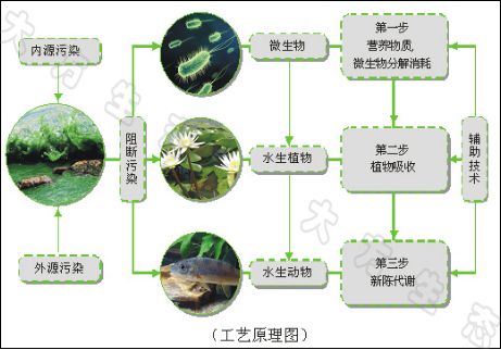 圖片1.png